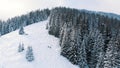 Breathtaking winter scenery of snow covered evergreen forest with mountains in the background during snowfall Royalty Free Stock Photo