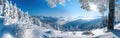 Winter Wonderland in Black Forest: Snowy Landscape with Frozen Tree Branch and Icicles under Blue Sky - Panoramic View