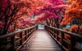 Breathtaking Wooden Pathway in a Beautiful Setting\