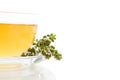 Breckland thyme tea. Royalty Free Stock Photo