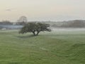 Brede Valley with mist fog a stretch of Sussex countryside near Rye, and Winchelsea. Where Romney and Walland marshland extends Royalty Free Stock Photo