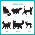 Breed Cat Outline Icons. Black And White Vector On A White Background.