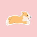 Breed corgi welsh running sticker, kawaii funny little dog