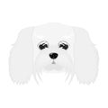 Breed of a dog, a lapdog.Muzzle of a lapdog single icon in monochrome style vector symbol stock illustration web.