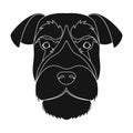 A breed of a dog, a risen schnauzer.Risen Schnauzer Muzzle single icon in black style vector symbol stock illustration