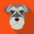 A breed of a dog, a risen schnauzer.Risen Schnauzer Muzzle single icon in flat style vector symbol stock illustration