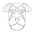 A breed of a dog, a risen schnauzer.Risen Schnauzer Muzzle single icon in outline style vector symbol stock illustration