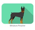 Breed miniature pinscher dog standing on the ground, side, face forward, dog cartoon image