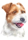 Water colour painting portrait of Parson Jake Russell Terrier 130