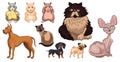 Breed of realistic pets cats, dogs and hamsters - Vector