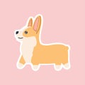 Breed walking welsh corgi sticker, kawaii funny little dog, cute face