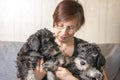 Breeder of dogs with her pets three miniature schnauzer puppies