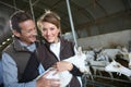 Breeders in farm holding a baby goat Royalty Free Stock Photo