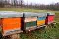 Breeding bees: hives