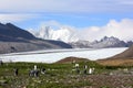 King penguins breeding colony in Fortuna Bay, South Georgia Island Royalty Free Stock Photo