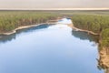 Breeding ponds in a pine forest. View from the drone. Royalty Free Stock Photo