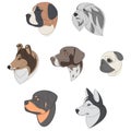 Breeds of dogs drawn in minimal style set. One line dog portrait set. St. Bernard, Old English Sheepdog, Rough Collie Royalty Free Stock Photo