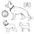 Breeds of dogs set Royalty Free Stock Photo