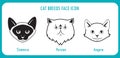 Cat breeds face icons. Angora, persian, siamese.