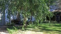 Breeze through trees on summer work day