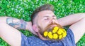 Breeziness concept. Bearded man with dandelion flowers in beard lay on meadow, grass background. Guy with dandelions in Royalty Free Stock Photo