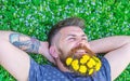 Breeziness concept. Guy with dandelions in beard relaxing, top view. Bearded man with dandelion flowers in beard lay on Royalty Free Stock Photo