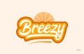 breezy orange color word text logo icon