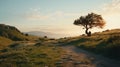 Breezy Scenery Uhd Mediterranean-inspired Tree On Hillside In 8k Resolution
