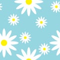 Breezy seamless pattern with daisies