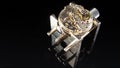 Mechanical watch movement on a watchmaker holding tool