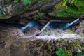 Breitachklamm von Oben Royalty Free Stock Photo