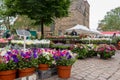 Bremen, Germany - 06/13/2019: flower market with different potted flowers anf price sign. Marketplace on city square.