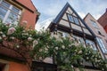 Street in old town of Bremen with floral decoration. Medieval buildings with roses on wall. Ancient architecture in Europe.