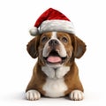 Playful Dog With Santa Hat - Photorealistic 3d Rendering