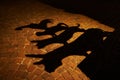 Bremen Town Musicians Shadow Royalty Free Stock Photo