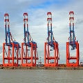 CContainer gantry cranes port cranes in the port of Bremerhaven, Bremen