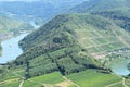 Bremm, Germany - 08 20 2020: edge of the vineyards at the forest mountain, Mosel valley Royalty Free Stock Photo