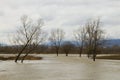 Brenta river flood. Italian rural landscape
