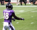 Breshad Perriman Royalty Free Stock Photo