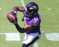 Breshad Perriman Royalty Free Stock Photo