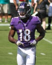 Breshad Perriman Royalty Free Stock Photo