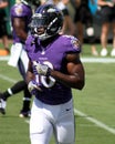 Breshad Perriman Royalty Free Stock Photo