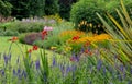 Bressingham Gardens near Diss in Norfolk UK. Colourful garden in the naturalistic planting style, with broad colour palette.