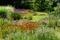 Bressingham Gardens near Diss in Norfolk UK. Colourful garden in the naturalistic planting style, with broad colour palette.