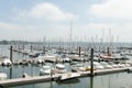 Brest, France 28 May 2018 Panoramic outdoor view of sete marina Many small boats and yachts aligned in the port. Calm water and Royalty Free Stock Photo