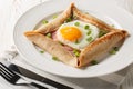 Breton galette, galette sarrasin, buckwheat crepe, with fried egg, cheese, ham closeup on the plate. Horizontal