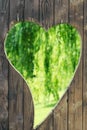 Board wall with heart shaped hole with green leaves on background