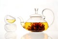 Brewed tea flower in a glass teapot Royalty Free Stock Photo