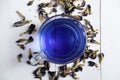 Brewed Thai blue Anchan tea in a transparent mug and dried clitoria flowers. A healthy drink for health