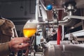 Brewer man and apron pours beer in a glass for quality control, standing behind the counter in a brewery. Royalty Free Stock Photo